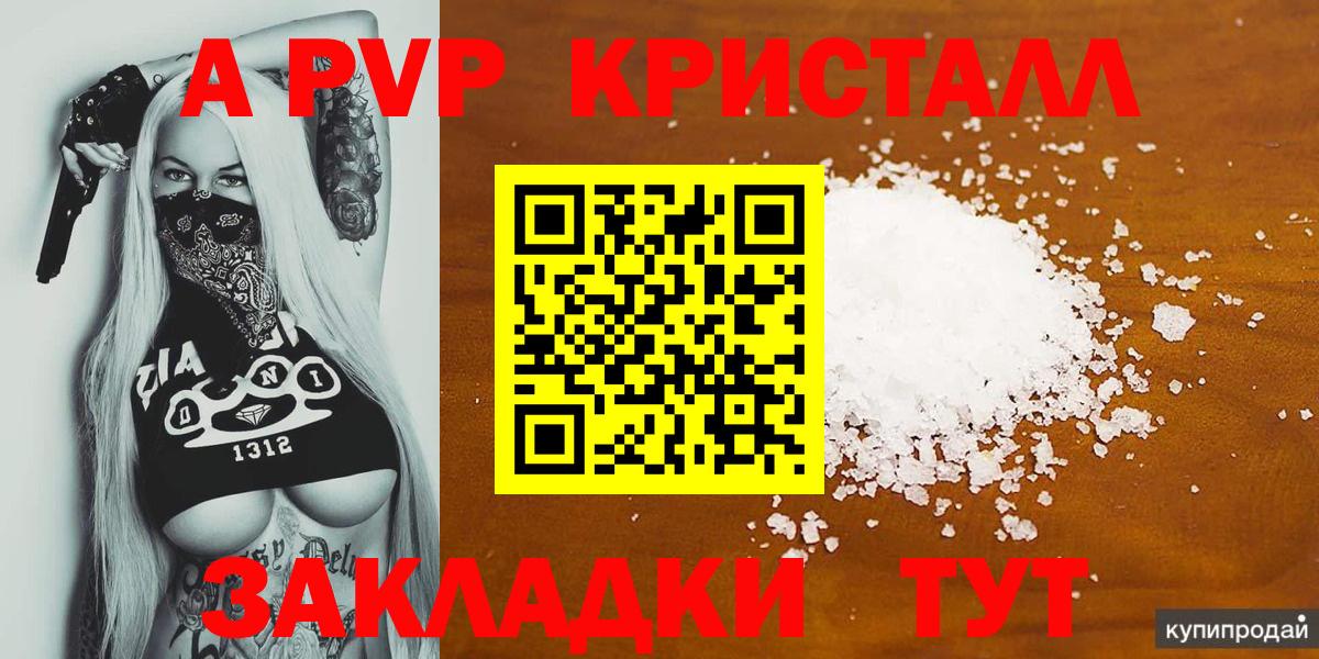 Альфа ПВП СК Хасавюрт