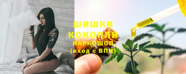 мяу мяу мука Магас
