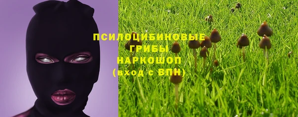 гашик Медвежьегорск