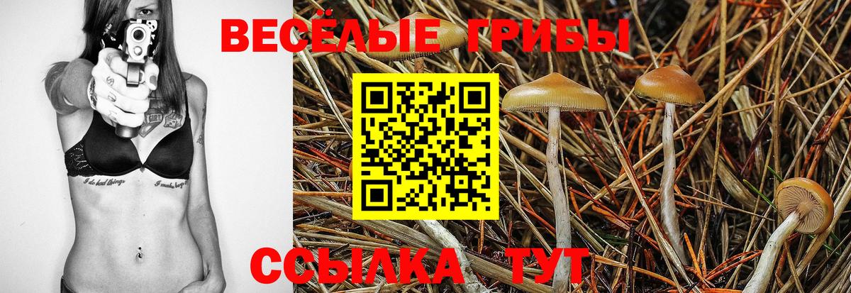 Псилоцибиновые грибы Magic Shrooms Хасавюрт