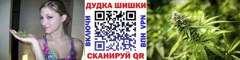 KRAKEN онион  Хасавюрт  Шишки марихуана планчик 